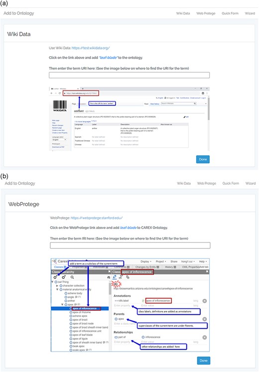A screenshot of the WebProtégé classes interface.