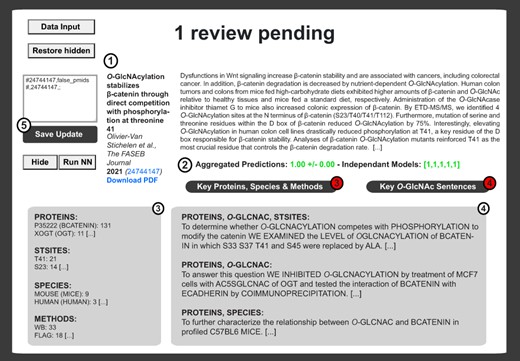 Example of literature report upon logistic binary classifier and automatization routines. The private interface contains the literature item metadata (Authors, Title, Year, Journal, Volume, Issue, Abstract, PMID and PubMed Link) (1) as well as the prediction score from the neural network (2). Neural network decisions are presented for each model ((2) right brackets). Decisions are then average and binomial confidence interval is calculated ((2) left). In (3), extracted proteins, sites, species and methods are shown next to the number of iteration for each item. This information is complemented by sentences associated with combinations of tags relevant to O-GlcNAcylated proteins (4). An update window is available for rapid update of the master update file upon inspection of each publication (5).