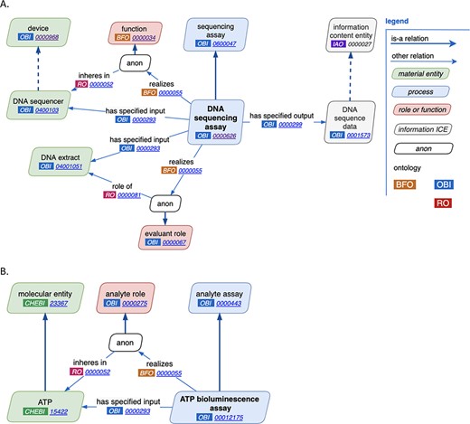 New assay patterns. (A). The general assay pattern logically connects the most commonly needed assay annotations. (B). The analyte assay pattern is distinguished by always including a specific ‘material entity’ playing the ‘analyte’ role. Note that ‘anon’ stands for ‘anonymous node’, which represents a multi-component axiom that a given class is a subclass of.