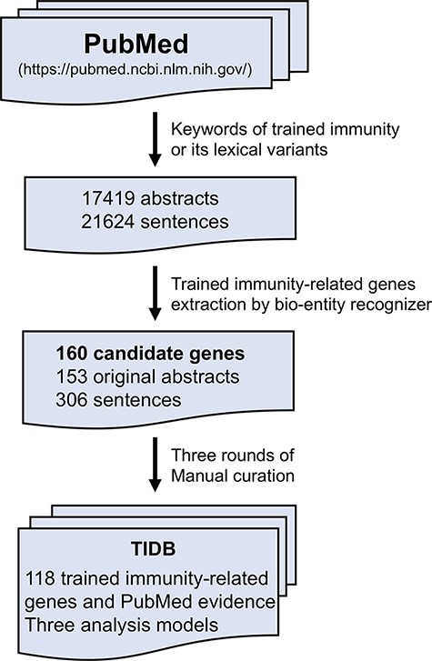 The workflow of TIDB construction.