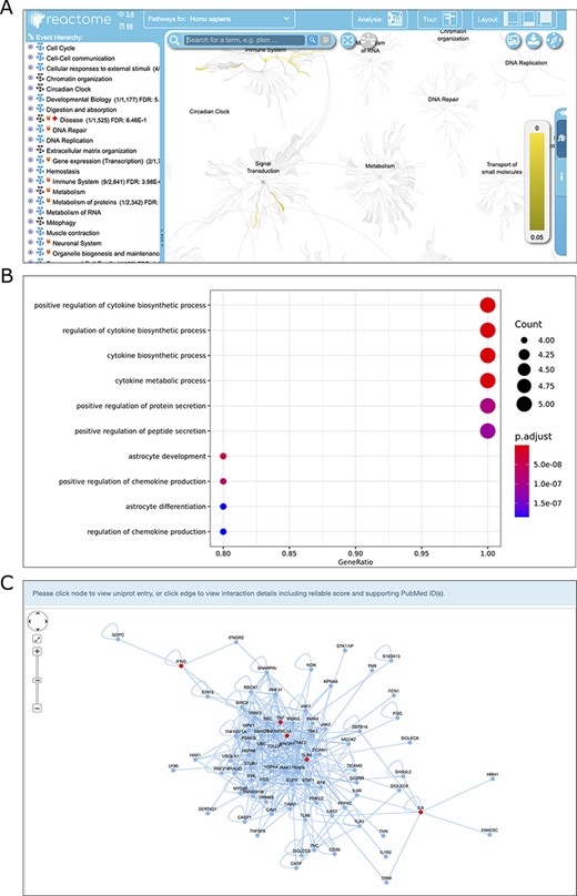 Screenshots of the results of three analysis modules, Reactome pathway ORA (A), GO enrichment analysis (B) and PPI network reconstruction (C).