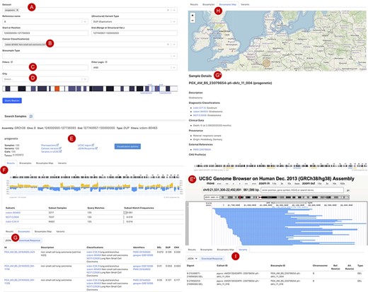 Beacon-style query using fuzzy ranges to identify biosamples with variants matching the CNA range This example queries for a continuous, focal duplication covering the complete MYC gene’s coding region with < = 6 Mb in size. A: Filter for dataset; B: filter for cancer classification (NCIt and ICD-O-3 ontology terms available); C: additional filter, e.g. Cellosaurus; D: additional filter for geographic location; E: external link to UCSC browser to view the alignment of matched variants; F: cancer type classification sorted by frequency of the matched biosamples present in the subset; G: list of matched biosamples with description, statistics and reference. More detailed biosample information can be viewed through ‘id’ link to the sample detail page; H: matched variants with reference to biosamples can be downloaded in json or csv format.