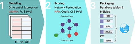 Description of the workflow. The workflow to build the database consists of three main steps. First, modeling the effect of the drug treatments on individual genes in every cell line. Differential expression analysis was applied using Limma to compare the gene expression between the treatment and control conditions. Second, scoring the fold change and P-values from the differential expression to calculate the network perturbation amplitudes (NPA) of the drugs on each network (NPA) and each node (nodes contributions). The sum of the NPA for a group of networks is known as the biological impact factor (BIF). Finally, the BIF, NPA and nodes contributions were packaged in a database file and metadata of the cell lines, drugs and networks.