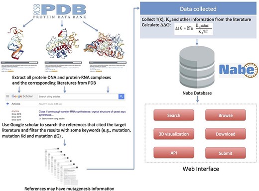 Flowchart describing data collection, workflow and applications of Nabe database.