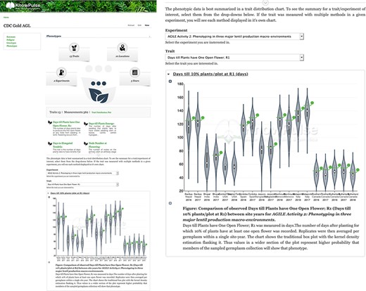 Phenotypic data visualization for CDC Gold AGL provided by Analyzed Phenotypes. The screenshot on the left shows the phenotypic data pane open on the KnowPulse germplasm page for CDC Gold AGL. The top section summarizes the phenotypic data available for CDC Gold AGL, the middle section provides quick links to all traits with data for CDC Gold AGL and the bottom section embeds the ‘Days till 10% of Flowers have one open flower’ Trait Distribution plot for this germplasm. The user selects the trait and experiment combination, and the plot is dynamically drawn for them. The screenshot on the right magnifies the trait distribution plot. This page can be accessed at https://knowpulse.usask.ca/germGoldAgl or by searching for CDC Gold AGL using the Germplasm search tool.