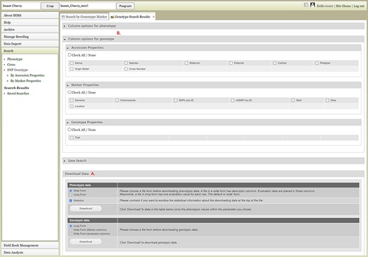Genotype Search Results tab. A. Download Data section where users can download phenotype data as well as genotype data when the data is available. B. Column options section where users can add columns either for phenotype or genotype data. C. Link to the account page where users can access the downloaded data files.