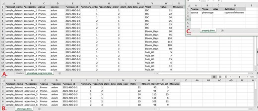 Example data templates in Excel. A. A template for phenotype data where trait names are entered in a column. B. A template for phenotype data where trait names are entered as a column heading. C. A template where users can enter data for user-defined column headings.