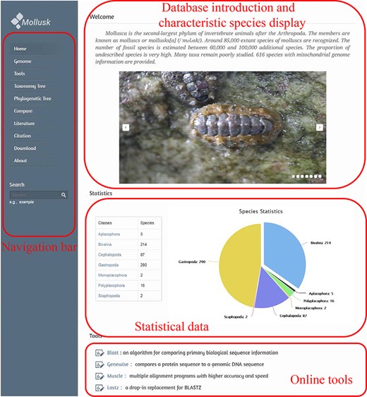 MODB home page.