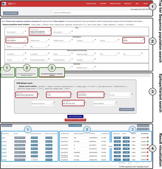 Overview of the EpiSurf interface, divided into four parts (see black rectangles). ‘Part 1’ (Top bar) allows clearing all filters selected in the interface or selecting predefined example queries. ‘Part 2’ (Sequence population search) is used for selecting sequences of interest. SARS-CoV-2 and human host are pre-selected, whereas the ‘Florida’ location has been added as an example (see red rectangles). After metadata search, users select between three different modes (squared in green): (1) Custom epitopes (shown in detail in Figure 3); (2) Use IEDB epitopes without variant counts; (3) Use IEDB epitopes with variant counts. For Parts 3 and 4 of this figure, we assume the selection of Modes 2 or 3, whereas Figure 3 shows Parts 3 and 4 after selecting Mode 1. ‘Part 3’ (Epitope/Variant search) enables selecting epitopes from IEDB. The Spike protein is pre-selected (but users can easily change the choice of protein), whereas other conditions allow filtering the epitopes by using metadata available in IEDB. As an example, we show the selection of T cell assay, HLA-A*02:01 restriction and a position range covering the receptor binding domain (25)—see red rectangles. Finally, ‘Part 4’ (Result visualization) provides a table describing selected epitopes, further vertically decomposed into three areas (shown in blue): ‘Area 1’ includes a number of buttons to open the results within the IEDB page, VirusViz (considering only sequences mutated on the epitope range or all the ones in the population selected in Part 2); ‘Area 2’ includes sortable and adjustable metadata about epitopes; and ‘Area 3’ is present only in Mode 3 and includes counters that define the conservancy of the epitope in the population of interest. The columns of the table are customizable and the full table can be conveniently downloaded as a CSV file. The two most relevant counts in the search, i.e. the number of sequences and of epitopes, are provided at the bottom right corner of the web page.