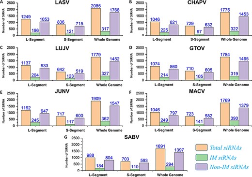 (A–G) Represents number of total SiRNA’s and classified IM/non-IM siRNAs identified for genomic segments L, S and whole genome of each mammarenavirus.
