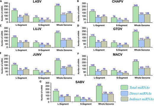 (A–G) Represents the number of total miRNAs and orientation-based classified direct/indirect mature RNAs identified for L, S and whole-genome segments of each mammarenavirus.