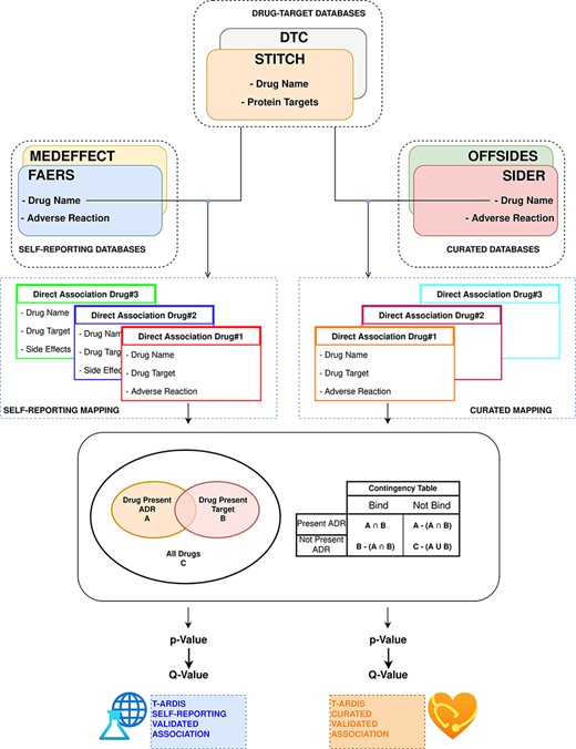 Workflow followed to combine and derive statistical associations between proteins and ADR. Drug–ADR and drug–target associations are retrieved from relevant databases. Subsequently, statistical association between proteins and ADRs is computed as described by Kuhn et al. (10).