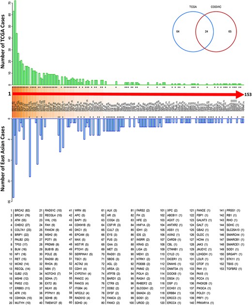 Genes with pathogenic variants identified in the COGVIC and TCGA cohorts. Distribution of the variants among 153 genes in both cohorts. The number of cases with pathogenic variants by gene in the TCGA database (green upper bars) is compared with those in the East Asian population (blue lower bars). Differences between the databases are indicated by asterisks above the gene name (when the number of TCGA cases is greater) or below the gene name (when the number of cases for the gene in the East Asian population is greater). The numbers in brackets beside the gene name are consistent with this system, i.e. asterisks above the number in the bracket indicate the number of TCGA cases, while asterisks below it indicate the number of cases in the East Asian population. The Venn diagram shows 64 genes with mutations unique to TCGA, 65 genes with mutations unique to the East Asian population and 24 genes with mutations detected in the two populations.