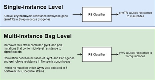 Single-instance vs multi-instance RE.