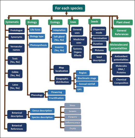 Framework of several search criteria for each species.