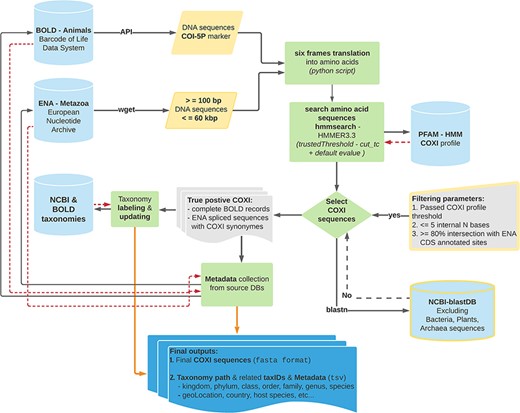 Schematic representation of the bioinformatics workflow used to build MetaCOXI. The whole process was implemented and executed in Linux environment using bash shell commands in combination with custom python scripts to parse the intermediate results. ENA raw sequences were filtered according to their lengths. hmmsearch application was used to search the translated DNA sequences against COXI HMM PFAM reference profile. All matches satisfying the TC threshold were selected. The sequences were further validated using blastn to exclude bacterial, plants and Archaea sequences. Taxonomical classification of all entries was aligned to NCBI reference taxonomy. The final COXI sequences and their associated harmonized taxonomy paths and metadata are provided in ‘fasta’ and ‘tsv’ formats, respectively. Yellow color indicates filtering parameters. Green color denotes processing steps. Dashed red arrows illustrate the returning results from reference databases.