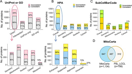 The evaluation of subcellular protein localization in PSL-LCCL against the public databases. (A) An agreement of neighborhood-based classification of proteins in PSL-LCC with proteins having unique localization annotated in UniProt or GO (upper). An agreement between PSL-LCC classifications and UniProt and GO single-location proteins of each neighborhood (below). Union, the union of UniProt and GO; Intersection, the overlap proteins in UniProt and GO. (B) An agreement of the neighborhood-based classifications in PSL-LCCL and proteins having unique localization annotated in Human Cell Atlas (upper) and their corresponding reliability score (below). (C) An agreement of the neighborhood-based classification in PSL-LCCL and proteins localized in SubCellBarCode Orre et al. (8). (D) An agreement of proteins localized in mitochondria in PSL-LCCL with MitoCarta Rath et al. (28).