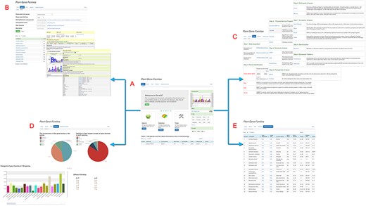 Main PlantGF web page. (A) PlantGF homepage: provides quick entry paths to all main parts. (B) Search: contains 2 909 580 gene family members and their specific detail annotations. (C) Tools: consists of nine steps in gene family analysis. Among that, four online tools (HMM-Search, BLAST, MAFFT and HMMER) also exist. (D) Statistics: statistics among these gene families. (E) Datasets Download: provides download links of 138 plant species’ protein sequences and their gene families.