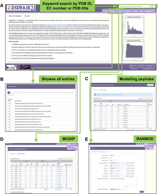DSDBASE 2.0 database organization and features. Different features of the database have been shown here. (A) Database browser. The users can browse through the different modules of DSDBASE. The user can also perform keyword search by PDB ID, EC number or PDB title. The distribution of native and modelled disulphide bonds based on loop sizes is provided. (B) List of all entries. The user can also download peptide fragments of distinct loop sizes from various substructures from nr-db-90% (90% sequence identity). (C) Modelling peptide feature. (D) RANMOD feature.