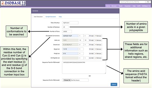 Snapshot of the input page for RANMOD (Random Conformation to Polypeptide Backbone) program. The user should provide a sequence (FASTA format) and disulphide connections information for running RANMOD procedure.