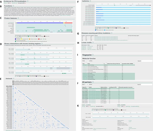 Layout of the individual entry pages (A–J) and the interaction pages (K) of PSINDB: Protein page: (A) Evidence for PS localization, (B) function, (C) protein features, (D) binary partners with known interacting regions, (E) network, (F) isoforms, (G) disease-causing germline mutations, (H) short linear motifs, (I) fingerprint, (J) all partners. Interaction page: (K) details of the experiment.