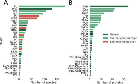 Database statistics per plastic, emphasizing the smaller number of reports for synthetic homochain polymers (those composed of only C–C backbones). A) Number of microbial species reported to degrade plastics. B) Number of proteins reported to break down plastics categorized by plastic type.