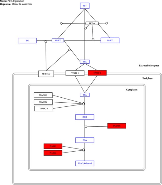 Example graph output from the ‘Pathway Analysis’ tool. Black rectangles represent proteins, blue rectangles represent substrates and red rectangles represent proteins present in the genome or metagenome being investigated, in this case, the genome of the bacterium P. aeruginosa.