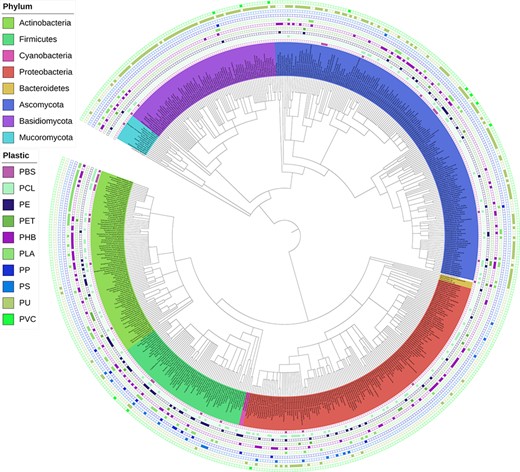 Interactive phylogenetic tree showing all microbes in the database and their respective plastic degradation reports. This figure is updated regularly with new reports of microbial degradation. Available at plasticdb.org/interactive_tree.