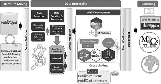 The overall workflow of M3Cs phases.