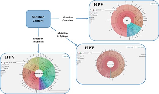 Distribution of mutation content among the whole sequences, the domains and the epitopes; the parameters on the left can adjust the display of the pie chart.