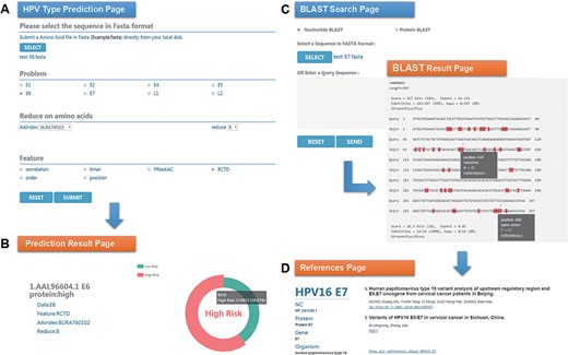 An example of HPVMD-C 1.0 usage: (A) Prediction page—Select optimal parameters: ‘E6’ data set, beta propensity characteristic index ‘BURA740102’, reduction number 8 and ‘RCTD’ feature; submit and get the result (B); (C) Blast search page and the result page—Use arrow to mark points that are different from the query sequence and highlight the mutation about this sequence in red; using mouse to slide over a mutation will pop up a detail box; references result page (D) will be displayed by clicking the references link.