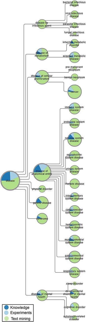 Overview of disease–gene associations in DISEASES. The number of disease–gene associations with a confidence score of at least 3 stars is proportional to the area of the pie charts, which represent high-level terms from Disease Ontology. In each pie chart, the associations are broken down by evidence type, i.e. curated knowledge, GWAS experiments and automatic text mining of the literature.