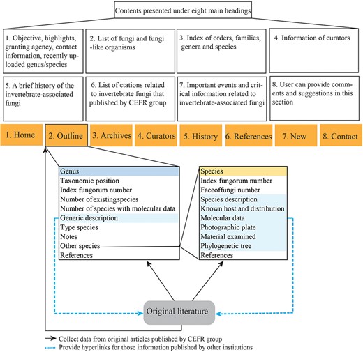 A schematic of the database structure.