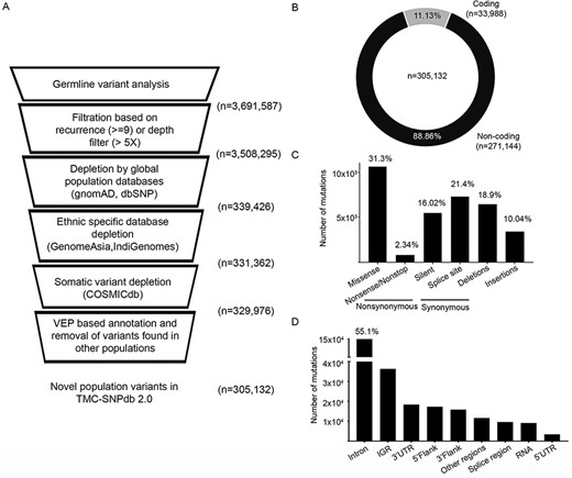 Development of TMC-SNPdb 2.0 and characteristic features of the variants in the database; A) schematic workflow of the steps in the development of the database; the raw variants obtained from the analysis of 173 normal samples were subject to quality/recurrence filter, followed by the depletion of variants found in germline and somatic databases to obtain novel germline variants; B) distribution of coding and non-coding variants; C) distribution of different types of synonymous variants, non-synonymous variants and INDELs; D) proportion of types of non-coding variants, identified in the TMC-SNPdb 2.0. IGR and RNA (in panel D) correspond to the intergenic and non-coding RNA variants in the database, respectively.