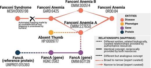 Example of mappings between different identifiers representing statements about similarity or identity of concepts across resources and vocabularies. Even with this simplified example, it is possible to see a range of mapping types, and that providing information about each mapping is crucial to understanding the bigger picture. This information helps avoid errors such as mistakenly conflating two variants of a disease.