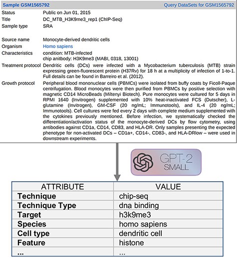 Example input document and possible output format.