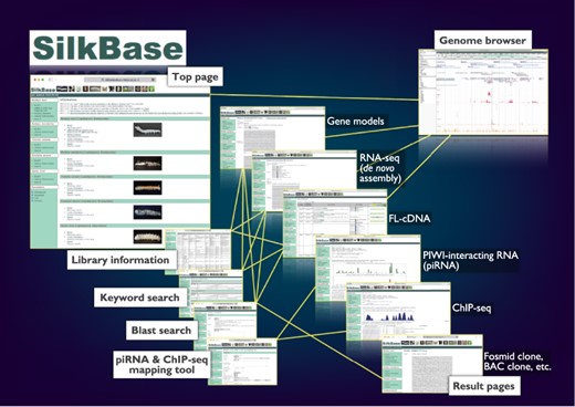 Overview of the Web user interfaces. The path lines show the user pathways between the Web user interfaces.