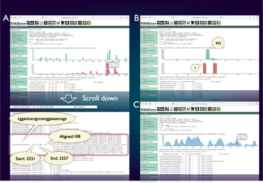 piRNA- and ChIP-seq mapping tool. The vertical axis indicates the nucleotide position of the query sequence, and the horizontal axis indicates the depth of coverage. The upper graph shows the mapping results on the sense strand, whereas the lower graph shows those on the antisense strand (piRNA mapping tool only). Information on nucleotide sequence, start point, end point, strand and the depth of coverage is displayed below the graph. (A) piRNA production in ovary from the transposon Kabuki. The detailed information of a certain peak (indicated by oval) is as follows: the piRNA sequence is ‘cggattcactgccatcggaaaatcaga’, and 108 reads are mapped from 2231 to 2257. (B) An example of the piRNA production status in the Fem locus. The depth of coverage is 935 on the sense strand and 1 on the antisense strand. (C) Mapping of the HP1a-binding sites around the KWMTBOMO02692 gene. The depth of ChIP-seq coverage on both strands is merged and displayed on a single graph (ChIP-seq mapping tool).