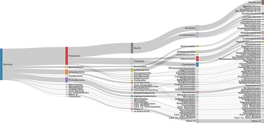 Taxonomic coverage up to the family level of FTHFS sequences present in the AcetoBase reference protein data set. Candidates with <50 sequences are merged in minor taxa.
