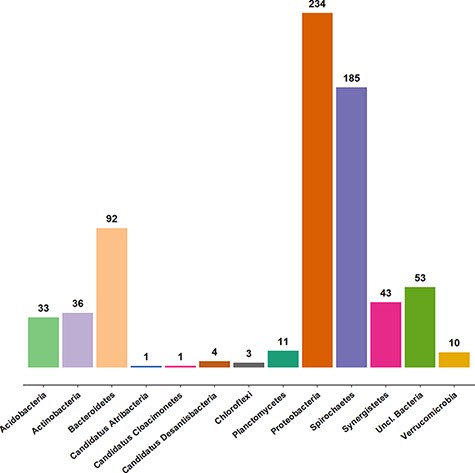 Taxonomic coverage of the clone sequence data set of AcetoBase at the phylum level, excluding Firmicutes (n = 2355 sequences). The values shown represent the sequence count for the respective phylum present in the AcetoBase clone data set.