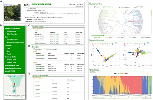Individual page with detail information of GinkgoDB. (A) Summary. (B) Content list with location tagged on the map. (C) Sample traits if available. (D) Biological materials collection of the individual. (E) Integrated visualization of phylogeny, PCA and population structure.
