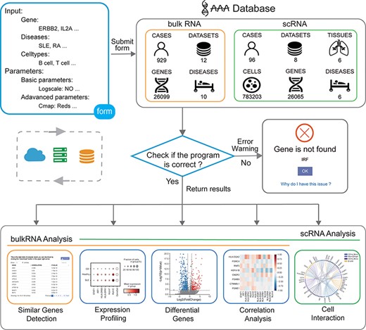 Overview of the IAAA database. The user can submit a custom form; the background obtains data from the database according to the form and finally checks whether the program performs the analysis function correctly. Returns the result of the analysis upon success and returns an error warning in the event of failure.