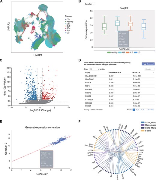 Examples of IAAA outputs. (A) UMAP plot showing the distribution of cells from healthy controls and several autoimmune diseases (i.e. CD, MS, SLE, SSc, SjS and UC) in scRNA-seq data. The UMAP plot is generated by the ‘general’ functions in IAAA. (B) Boxplot showing the expression of the type II interferon gene set (STAT1, IRF1, HLA-DRB5, HLA-DPA1, HLA-F, HLA-E, HLA-C, HLA-DQB1, HLA-DQA1, HLA-DRB1, HLA-B, HLA-DRA, HLA-DPB1 and HLA-A) in macrophages for scRNA-seq data from SLE, UC and MS patients. The boxplot is generated by ‘expression profiling’ functions in IAAA. (C) Volcano plot showing the differentially expressed genes between B cells and macrophages in MS patients for the scRNA-seq data. The volcano plot is generated by ‘differential analysis’ functions in IAAA. (D) The Pearson correlation of genes with the type II interferon gene set in bulk RNA-seq data generated by ‘similar gene detection’ functions in IAAA. (E) The Pearson correlation between two gene sets (type II interferon gene set and the high correlation gene set by similar gene detection functions) in bulk RNA-seq data by correlation analysis functions (scatter plot). (F) Circos plot showing the receptor–ligand pairs among B cells, CD14+ monocytes (CD14_Mono), CD16+ monocytes (CD16_Mono) and macrophages from PBMCs in SLE patients. The volcano plot is generated by ‘cell–cell interaction’ functions in IAAA. Mono, monocytes.