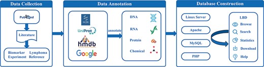 Schematic workflow of LBD construction.