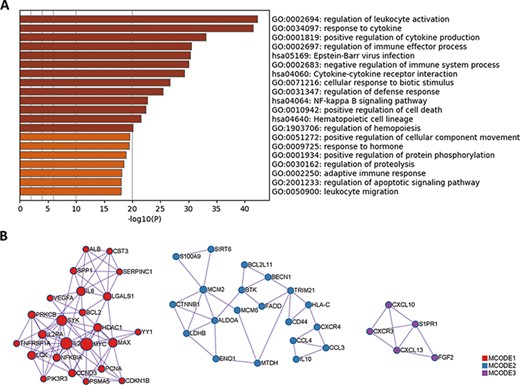 GO and KEGG enrichment analysis of protein biomarkers in LBD. (A) Enriched GO and KEGG pathways. (B) Protein–protein interaction network components identified by the MCODE algorithm. Nodes represent protein biomarkers in LBD. Edges represent the relationships between different proteins. The size of the node represents the node degree.
