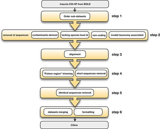 COins database development steps.