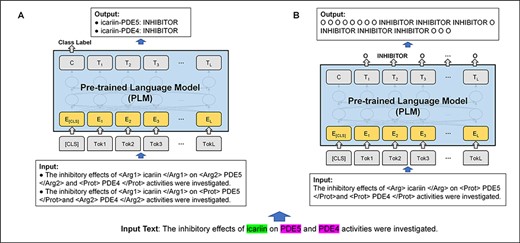 Example of relation extraction in text classification and sequence labeling frameworks. (A) Text classification framework. (B) Sequence labeling framework. In the example, the drug of ‘icariin’ has INHIBITOR relations with the proteins of ‘PDE5’ and ‘PDE4’.