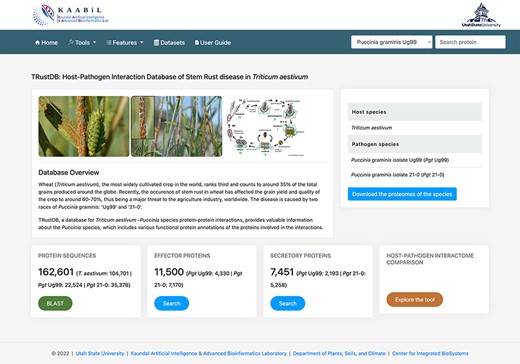 The ‘Homepage’ of TRustDB database server.