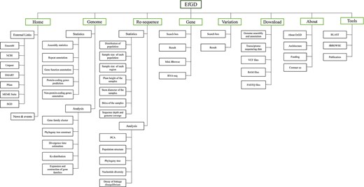 Architecture of EfGD. The EfGD was divided into eight main modules including ‘Home’, ‘Genome’, ‘Re-sequence‘, ‘Gene‘, ‘Variation’, ‘Download’, ‘About’ and ‘Tools’. The corresponding contents of each module are listed below.