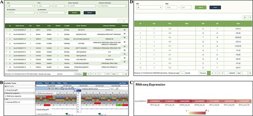 ‘Gene’ and ‘Variation’ modules. (A) ‘Gene’ search module. (B) Click on Gene ID to display detailed information in the JBrowse. (C) Click on Gene ID to display the expression level. (D) ‘Variation’ module.